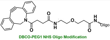 Bio-Synthesis Inc. Oligo Structure